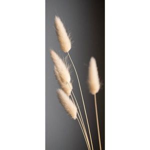 Euroart OBRAZ NA SKLE, rostliny, 30/80/1, 40 cm obraz