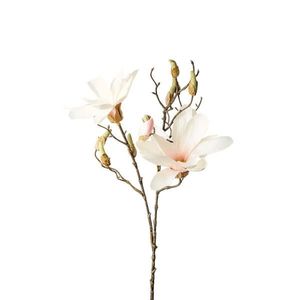 MAGNOLIE 85 cm obraz
