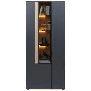 Dieter Knoll VITRÍNA, antracitová, barvy dubu, 93, 2/213, 1/42 cm obraz
