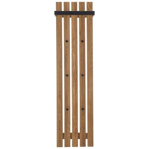 ŠATNÍ PANEL, přírodní barvy, černá, dub, 40/150/22 cm obraz