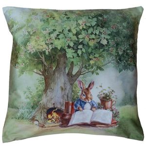 Esposa DEKORAČNÍ POLŠTÁŘ 40/40 cm obraz