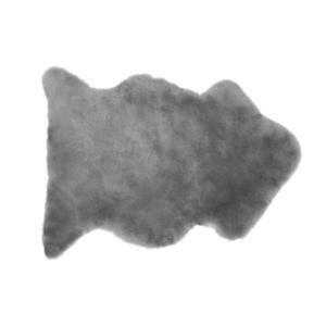 Linea Natura OVČÍ KOŽEŠINA, 60/90 cm, šedá obraz