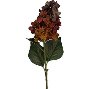 HORTENZIE 72 cm obraz
