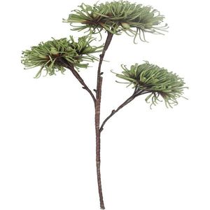 Ambia Home UMĚLÁ KVĚTINA chryzantéma 92 cm obraz