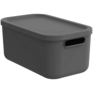 Rotho BOX S VÍKEM 12 l obraz