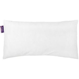 Sleeptex VÝPLŇ POLŠTÁŘE 40/80 cm obraz