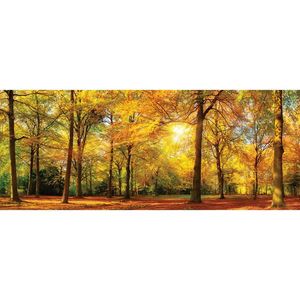 Euroart OBRAZ NA SKLE, krajina a příroda, 50/125 cm obraz