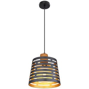 Globo ZÁVĚSNÉ SVÍTIDLO, 25/120 cm obraz