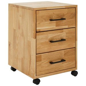 Linea Natura POJÍZDNÝ KONTEJNER, 40/57/42 cm obraz