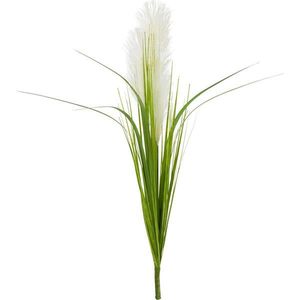 DEKORAČNÍ TRÁVA, 70 cm obraz