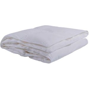 Sleeptex CELOROČNÍ PŘIKRÝVKA, 220/140 cm, obraz