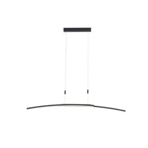 Dieter Knoll ZÁVĚSNÉ LED SVÍTIDLO, 130/6, 5/155 cm obraz