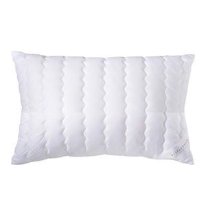 Billerbeck POLŠTÁŘ POD HLAVU, 40/80 cm obraz