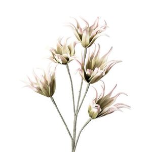 UMĚLÁ KVĚTINA 115 cm obraz
