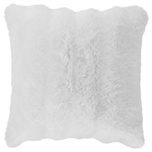 Dieter Knoll POTAH NA POLŠTÁŘ 48/48 cm obraz