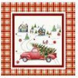X-Mas POTAH NA POLŠTÁŘ 45/45 cm obraz