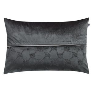Joop! POTAH NA POLŠTÁŘ 38/58 cm obraz