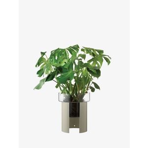 Terrazza květináč, v. 45 cm, Ø37 cm, čirá/betonově šedá - LSA international obraz