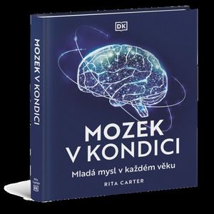 Mozek v kondici obraz