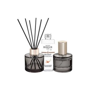 Maison Berger Paris Dárková sada Duo Mini: aroma difuzér Rosalie s náplní 90 ml + bytová vůně 50 ml, Intenzivní třpyt 7859 obraz