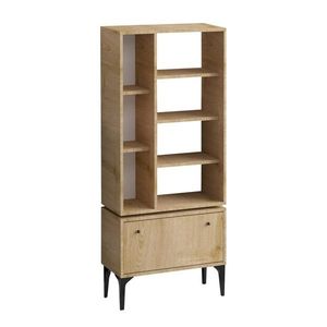 Knihovna Fix Black and Oak obraz