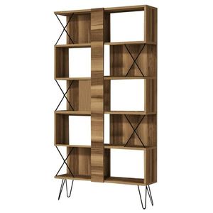 Knihovna Extra Walnut obraz