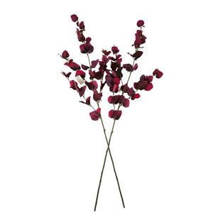 Sada podzimní větev Eukalyptus, 95 cm, 2 ks obraz