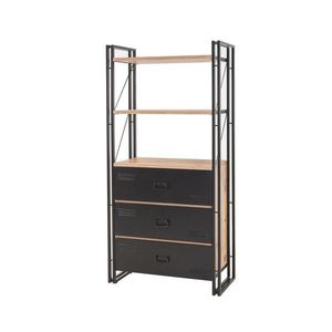 Regál Cosmo Cortex Black and Atlantic Pine obraz