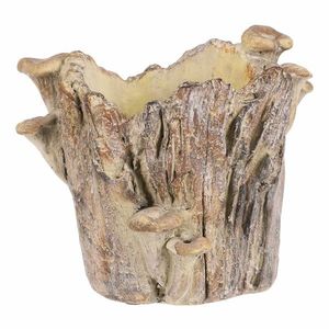 Obal betonový - pařez s houbami, 19 x 17 x 16 cm, 19 cm obraz