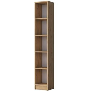 Knihovna Hale Walnut obraz