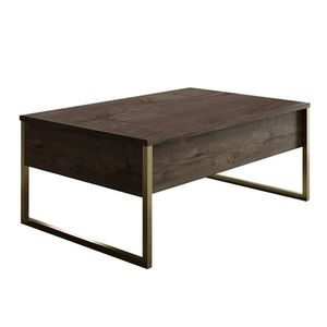 Konferenční stolek Luxe Walnut and Gold obraz