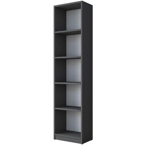 Knihovna Hale Anthracite obraz