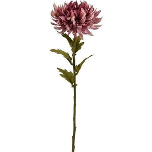 Umělá květina Chryzantéma 62 x 18 cm, starorůžová obraz