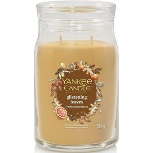 Yankee Candle Vonná svíčka velká Signature Glistening Leaves, 567 g, L obraz