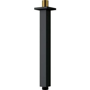 DEANTE Cascada černá Sprchové rameno, strop 250 mm NAC_N48K obraz