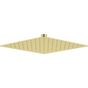 DEANTE Cascada kartáčované zlato Sprchová hlavice 250x250 mm NAC_R02K obraz