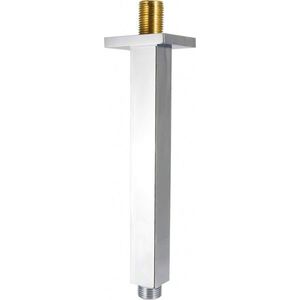 DEANTE Cascada chrom Sprchové rameno, strop 250 mm NAC_048K obraz