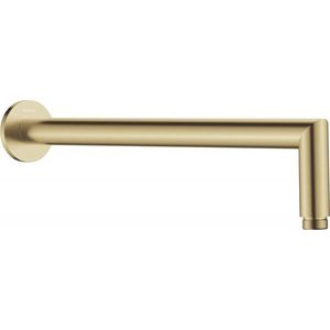 DEANTE Cascada sprchové rameno 400 mm NAC_M45K obraz