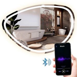 REA Zrcadlo LED 70x100cm FOG HOM-05516 obraz