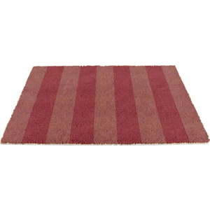 Rohožka z kokosového vlákna 40x60 cm Pink Stripe – Artsy Doormats obraz