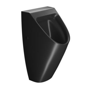 GSI COUNITY urinál se zakrytým přívodem vody, 31x65cm, černá mat 909726 obraz