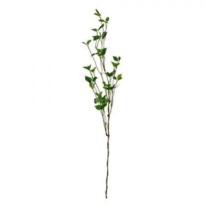 Dekorace hnědá větvička se zelenými lístky - 19*10*116 cm 5PL0183 obraz