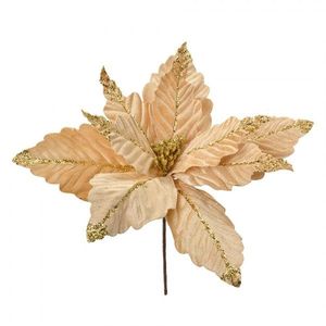 Béžovo-zlatá květina béžová vánoční hvězda Poinsettia - Ø 36*36 cm 66160 obraz