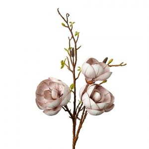Dekorace umělá větvička Magnólie s béžovými květy - 20*20*106 cm 5PL0169W obraz