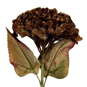 Hnědá umělá dekorace sušená květina hortenzie - 15*15*47 cm 6PL0404CH obraz