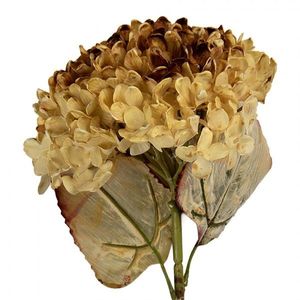 Tmavě béžová umělá dekorace sušená květina hortenzie - 15*15*47 cm 6PL0404CR obraz