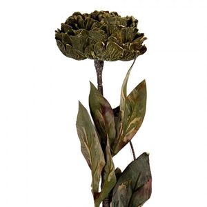 Zelená umělá dekorace sušená květina pivoňka - 10*10*65 cm 6PL0405CH obraz
