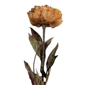 Žluto-hnědá umělá dekorace sušená květina pivoňka - 10*10*65 cm 6PL0405Y obraz