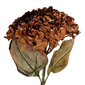 Vínová umělá dekorace sušená květina hortenzie - 15*15*47 cm 6PL0404R obraz