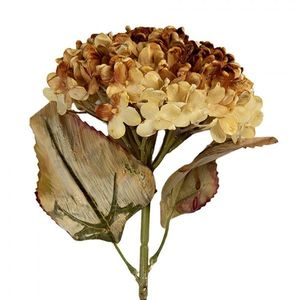 Žlutá umělá dekorace sušená květina hortenzie - 15*15*47 cm 6PL0404Y obraz